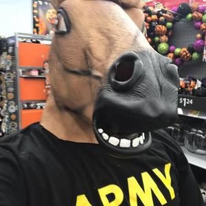 Meet your Posher, Tanner